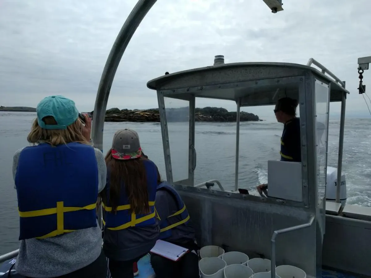 Boat surveys