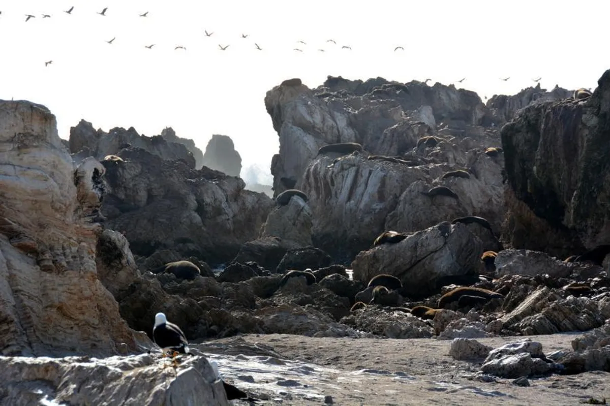Rocky beach