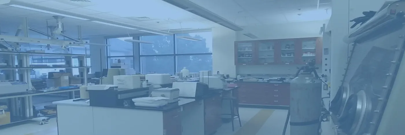 Lab