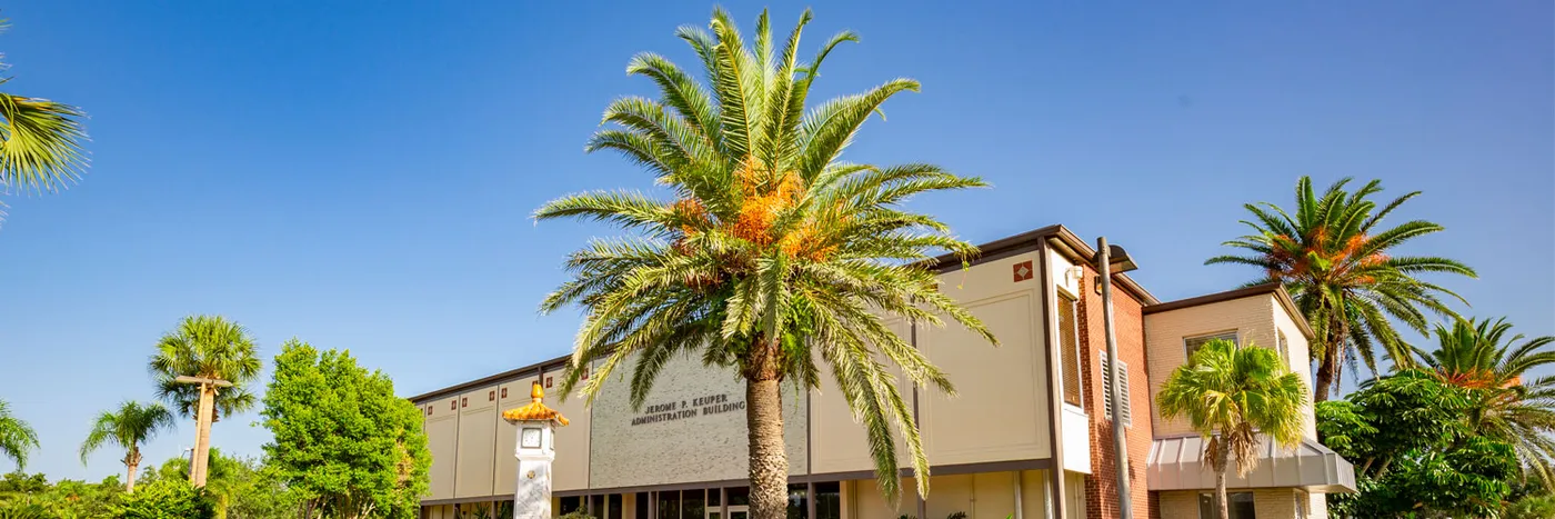 Palm Trees on Campus