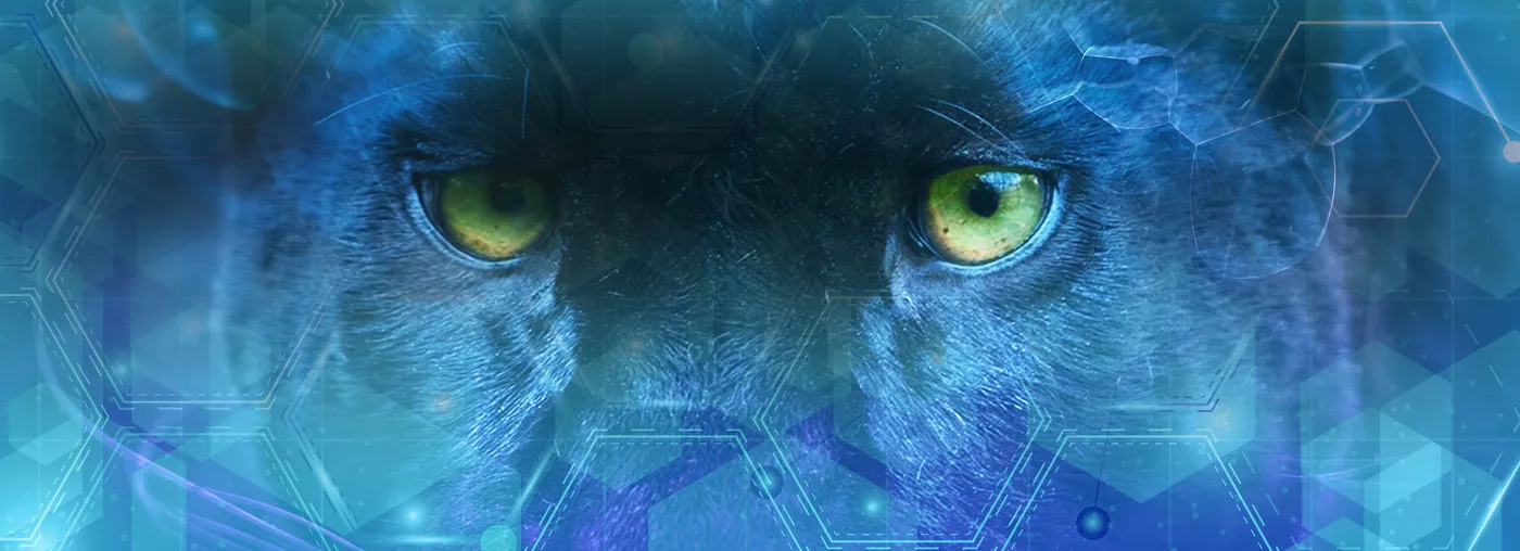 Panther Works