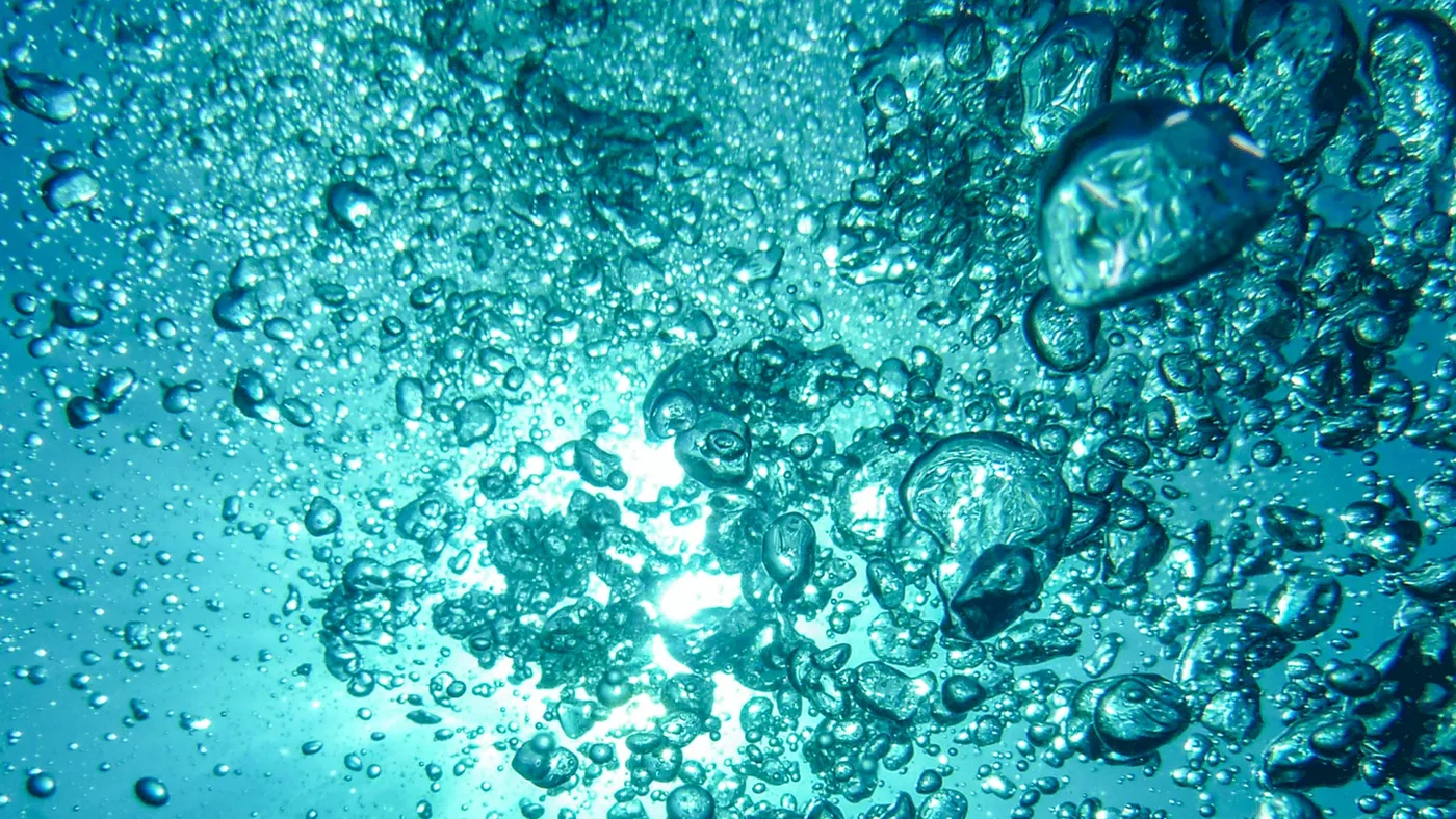 Ocean