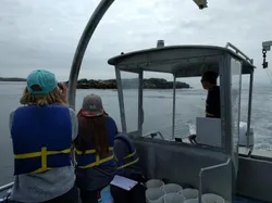Boat surveys