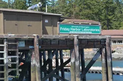Friday Harbor Laboratories