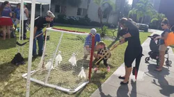 Playing one of the ghostly games during Treat-or-Treat