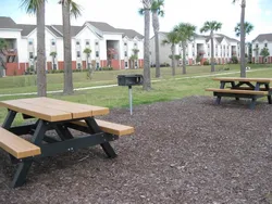 Picnic Tables and Barbecue Grill Area